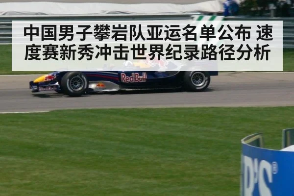 中国男子攀岩队亚运名单公布 速度赛新秀冲击世界纪录路径分析